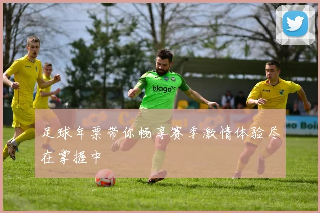 足球年票带你畅享赛季激情体验尽在掌握中