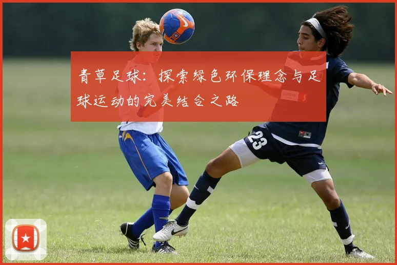 青草足球：探索绿色环保理念与足球运动的完美结合之路