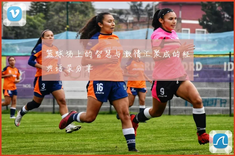 篮球场上的智慧与激情汇聚成的经典语录分享