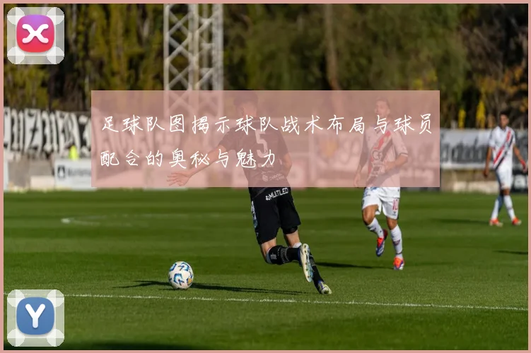 足球队图揭示球队战术布局与球员配合的奥秘与魅力