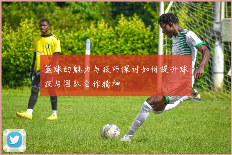 篮球的魅力与技巧探讨如何提升球技与团队合作精神