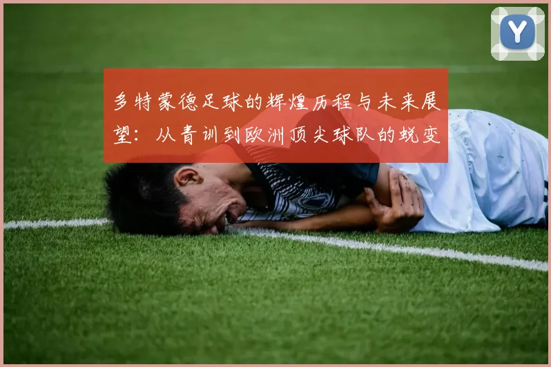 多特蒙德足球的辉煌历程与未来展望：从青训到欧洲顶尖球队的蜕变之路