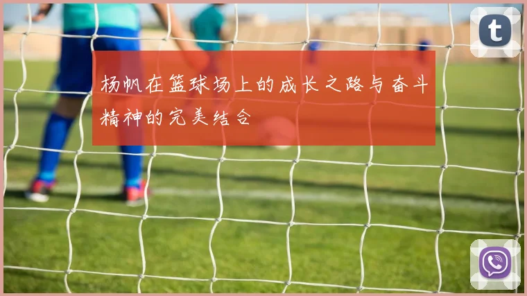 杨帆在篮球场上的成长之路与奋斗精神的完美结合