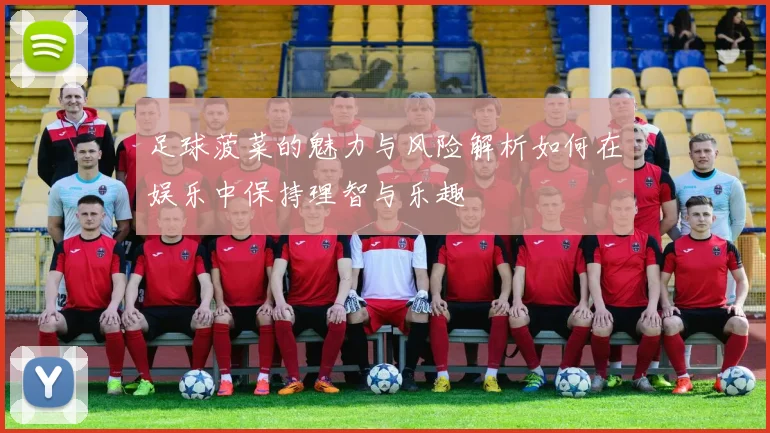 足球菠菜的魅力与风险解析如何在娱乐中保持理智与乐趣